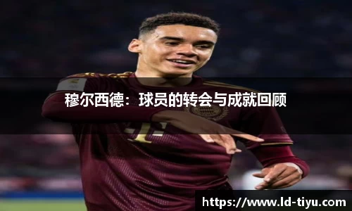 LD乐动官网